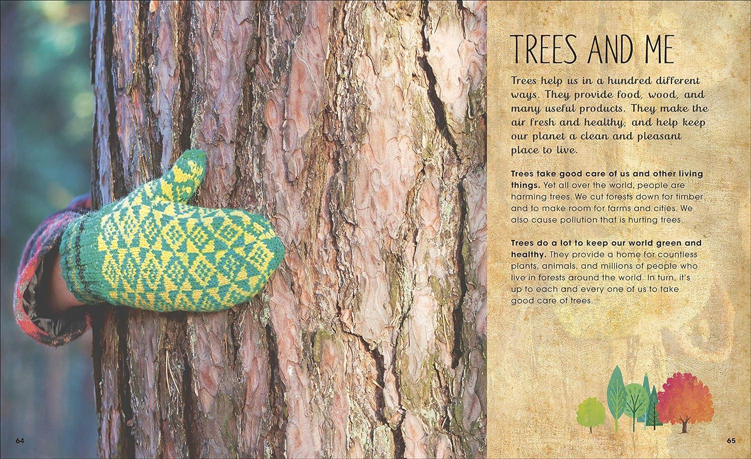 Foster Tree Appreciation in Kids with The Magic and Mystery of Trees