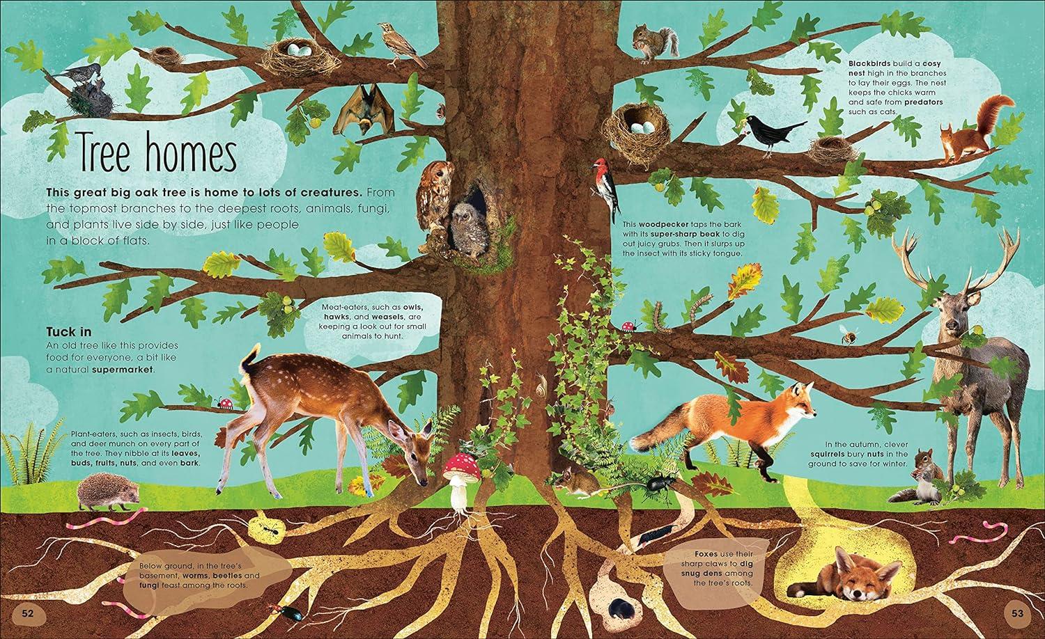 Foster Tree Appreciation in Kids with The Magic and Mystery of Trees