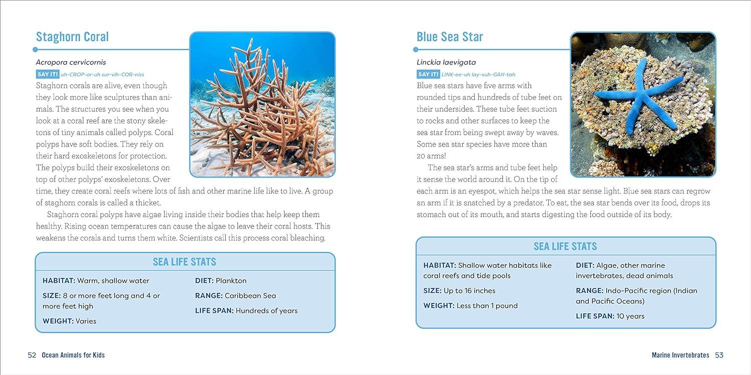 Explore the Depths with Ocean Animals Book for Budding Marine Biologists